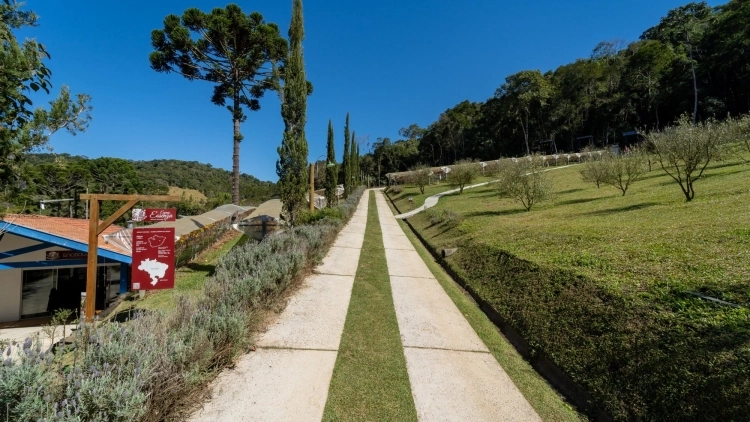 Picnic na Vinícola Essenza