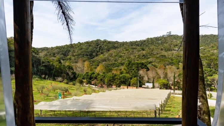 Picnic na Vinícola Essenza